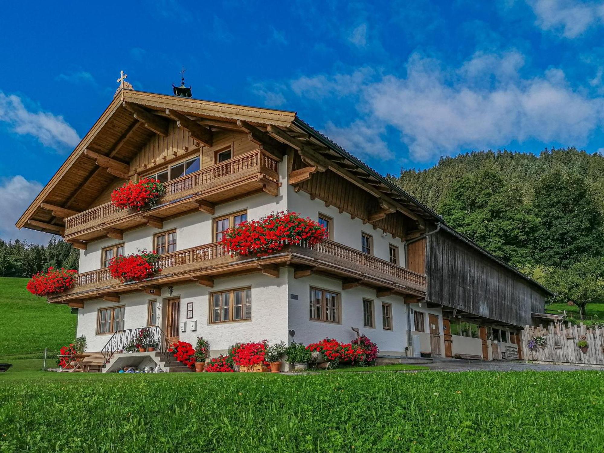 Flicklhof Xl Apartamento Hopfgarten im Brixental Exterior foto