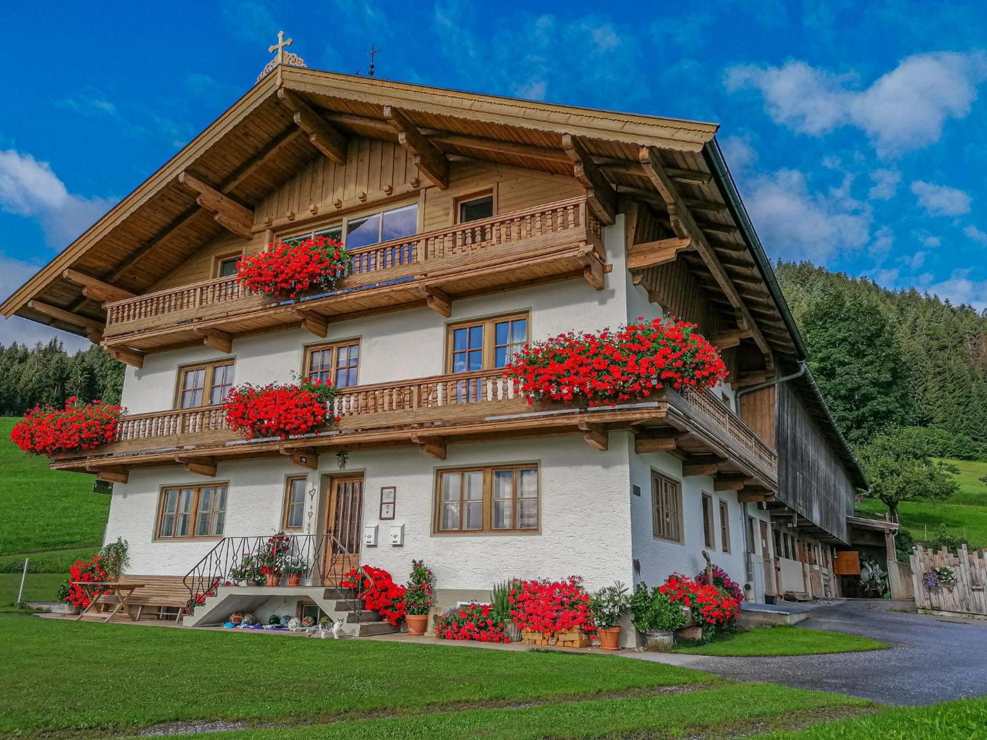 Flicklhof Xl Apartamento Hopfgarten im Brixental Exterior foto